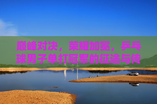 巅峰对决，荣耀加冕，乒乓球男子单打冠军的征途与传奇