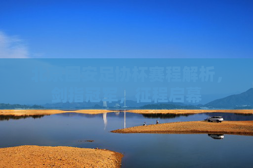 北京国安足协杯赛程解析,剑指冠军,征程启幕 北京国安足协杯赛程解析,剑指冠军,征程启幕