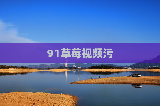91草莓视频污 91草莓视频污