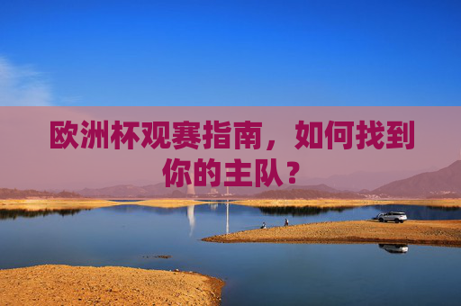 欧洲杯观赛指南,如何找到你的主队? 欧洲杯观赛指南,如何找到你的主队?
