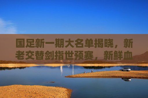 国足新一期大名单揭晓,新老交替剑指世预赛,新鲜血液注入期待与挑战 国足新一期大名单揭晓,新老交替剑指世预赛,新鲜血液注入期待与挑战