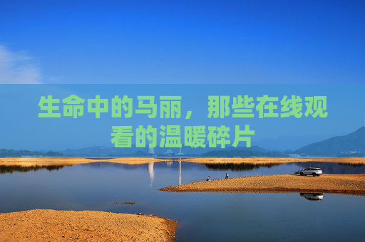 生命中的马丽,那些在线观看的温暖碎片 生命中的马丽,那些在线观看的温暖碎片