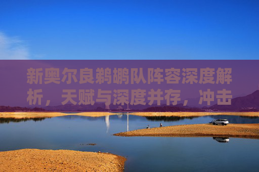 新奥尔良鹈鹕队阵容深度解析，天赋与深度并存，冲击季后赛的年轻力量