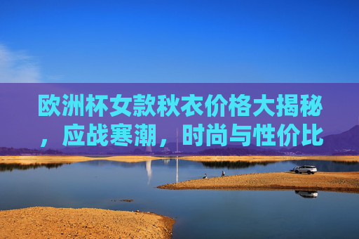 欧洲杯女款秋衣价格大揭秘，应战寒潮，时尚与性价比并存！