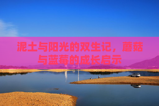 泥土与阳光的双生记,蘑菇与蓝莓的成长启示 泥土与阳光的双生记,蘑菇与蓝莓的成长启示