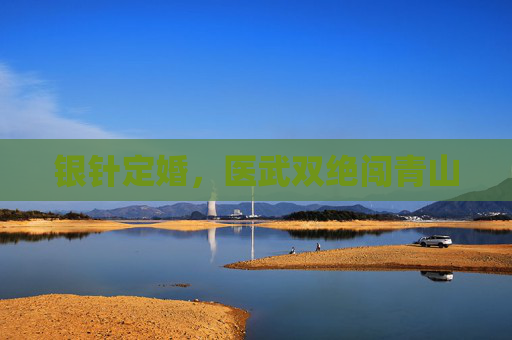 银针定婚,医武双绝闯青山 银针定婚,医武双绝闯青山