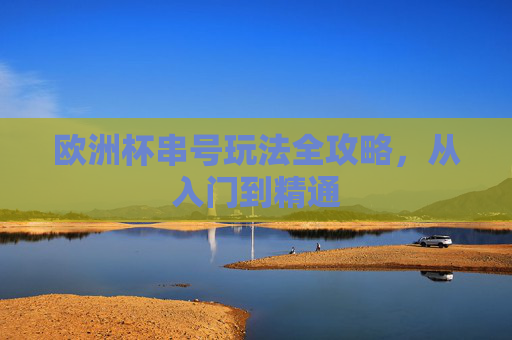 欧洲杯串号玩法全攻略,从入门到精通 欧洲杯串号玩法全攻略,从入门到精通