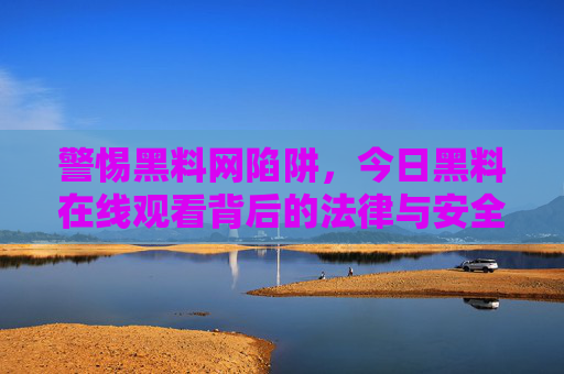 警惕黑料网陷阱，今日黑料在线观看背后的法律与安全风险