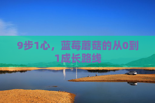 9步1心,蓝莓蘑菇的从0到1成长路线 9步1心,蓝莓蘑菇的从0到1成长路线