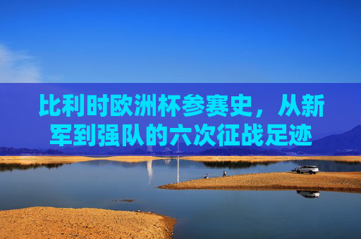 比利时欧洲杯参赛史，从新军到强队的六次征战足迹