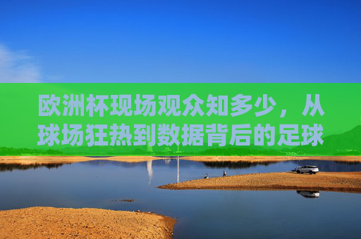 欧洲杯现场观众知多少，从球场狂热到数据背后的足球盛宴