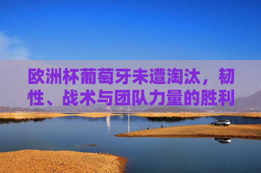 欧洲杯葡萄牙未遭淘汰，韧性、战术与团队力量的胜利