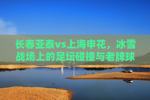 长春亚泰vs上海申花,冰雪战场上的足坛碰撞与老牌球队的坚守 长春亚泰vs上海申花,冰雪战场上的足坛碰撞与老牌球队的坚守