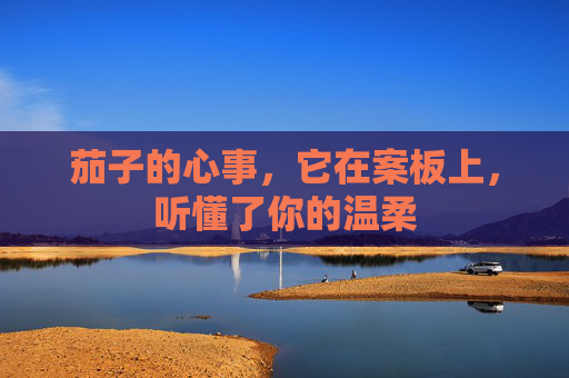 茄子的心事，它在案板上，听懂了你的温柔