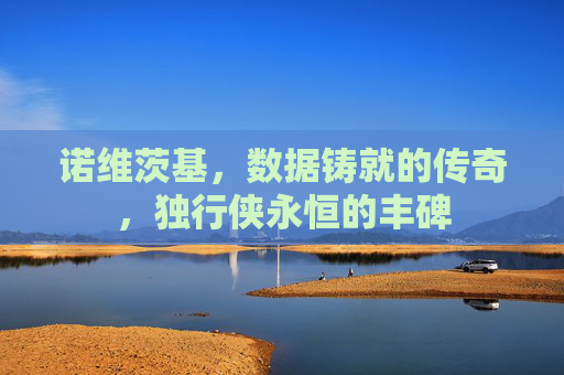 诺维茨基，数据铸就的传奇，独行侠永恒的丰碑