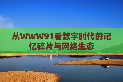 从WwW91看数字时代的记忆碎片与网络生态 从WwW91看数字时代的记忆碎片与网络生态