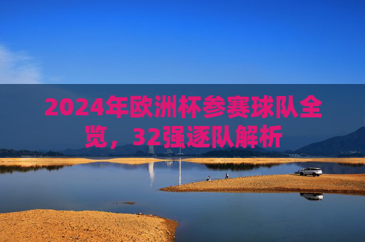 2024年欧洲杯参赛球队全览，32强逐队解析