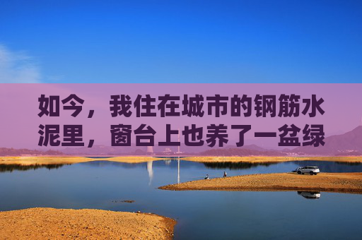 如今,我住在城市的钢筋水泥里,窗台上也养了一盆绿萝。每天早上醒来,第一件事就是看看它的叶子 如今,我住在城市的钢筋水泥里,窗台上也养了一盆绿萝。每天早上醒来,第一件事就是看看它的叶子