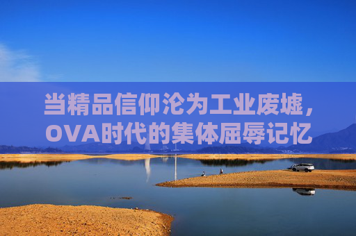 当精品信仰沦为工业废墟,OVA时代的集体屈辱记忆 当精品信仰沦为工业废墟,OVA时代的集体屈辱记忆