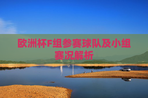 欧洲杯F组参赛球队及小组赛况解析 欧洲杯F组参赛球队及小组赛况解析
