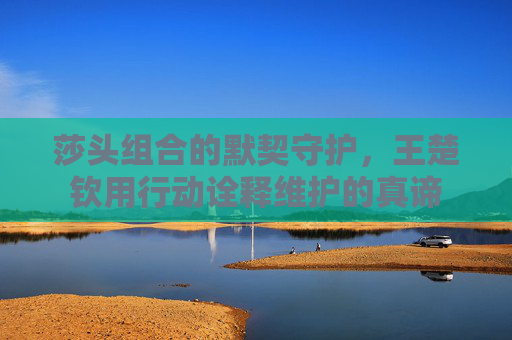 莎头组合的默契守护,王楚钦用行动诠释维护的真谛 莎头组合的默契守护,王楚钦用行动诠释维护的真谛