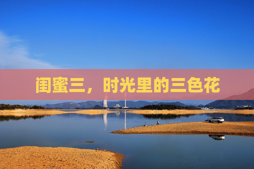 闺蜜三,时光里的三色花 闺蜜三,时光里的三色花