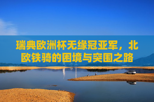瑞典欧洲杯无缘冠亚军,北欧铁骑的困境与突围之路 瑞典欧洲杯无缘冠亚军,北欧铁骑的困境与突围之路