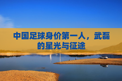 中国足球身价第一人,武磊的星光与征途 中国足球身价第一人,武磊的星光与征途