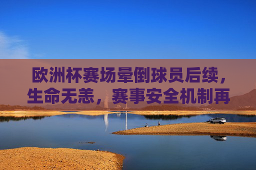 欧洲杯赛场晕倒球员后续,生命无恙,赛事安全机制再引关注 欧洲杯赛场晕倒球员后续,生命无恙,赛事安全机制再引关注