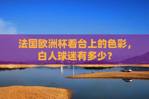 法国欧洲杯看台上的色彩,白人球迷有多少? 法国欧洲杯看台上的色彩,白人球迷有多少?