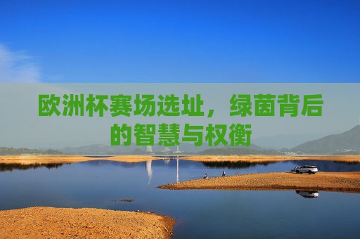 欧洲杯赛场选址,绿茵背后的智慧与权衡 欧洲杯赛场选址,绿茵背后的智慧与权衡