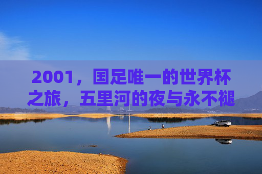 2001,国足唯一的世界杯之旅,五里河的夜与永不褪色的青春记忆 2001,国足唯一的世界杯之旅,五里河的夜与永不褪色的青春记忆