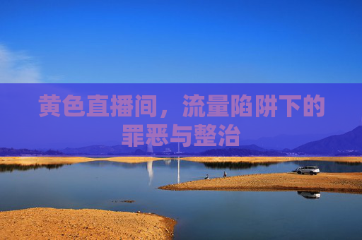 黄色直播间,流量陷阱下的罪恶与整治 黄色直播间,流量陷阱下的罪恶与整治
