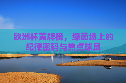 欧洲杯黄牌榜,绿茵场上的纪律密码与焦点球员 欧洲杯黄牌榜,绿茵场上的纪律密码与焦点球员