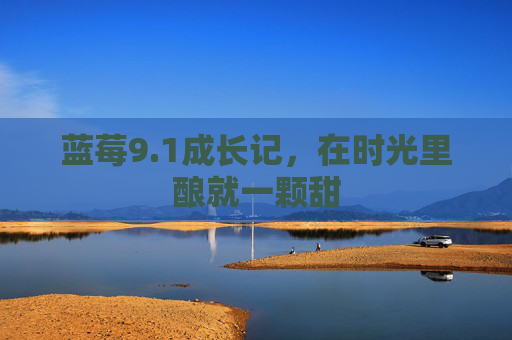 蓝莓9.1成长记,在时光里酿就一颗甜 蓝莓9.1成长记,在时光里酿就一颗甜