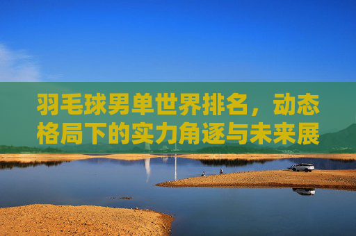 羽毛球男单世界排名,动态格局下的实力角逐与未来展望 羽毛球男单世界排名,动态格局下的实力角逐与未来展望
