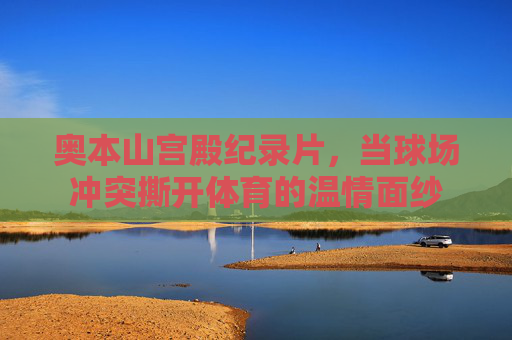 奥本山宫殿纪录片,当球场冲突撕开体育的温情面纱 奥本山宫殿纪录片,当球场冲突撕开体育的温情面纱