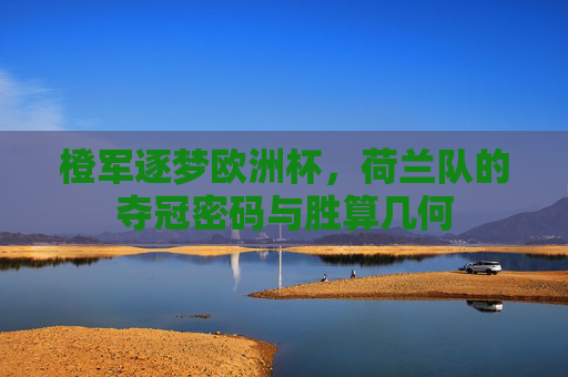 橙军逐梦欧洲杯,荷兰队的夺冠密码与胜算几何 橙军逐梦欧洲杯,荷兰队的夺冠密码与胜算几何