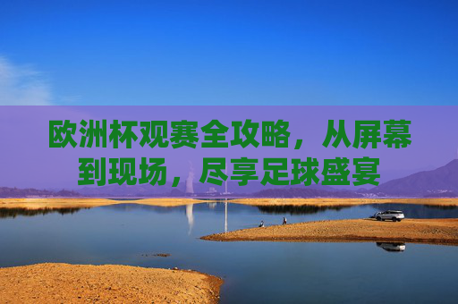 欧洲杯观赛全攻略,从屏幕到现场,尽享足球盛宴 欧洲杯观赛全攻略,从屏幕到现场,尽享足球盛宴