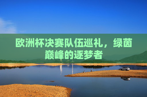 欧洲杯决赛队伍巡礼,绿茵巅峰的逐梦者 欧洲杯决赛队伍巡礼,绿茵巅峰的逐梦者