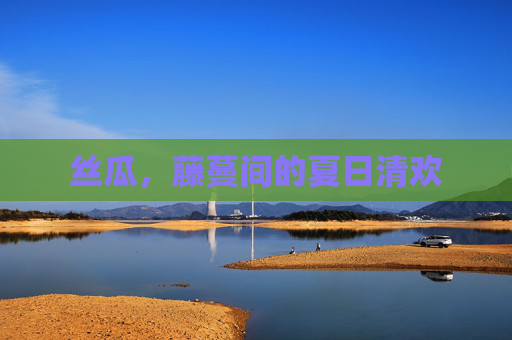 丝瓜,藤蔓间的夏日清欢 丝瓜,藤蔓间的夏日清欢