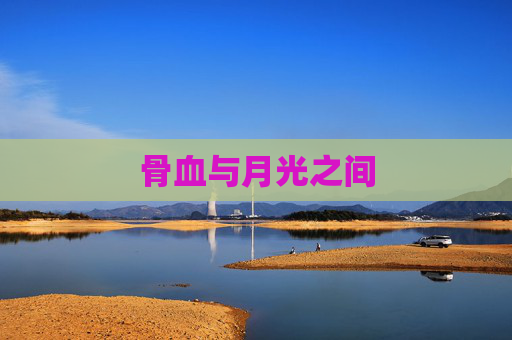 骨血与月光之间