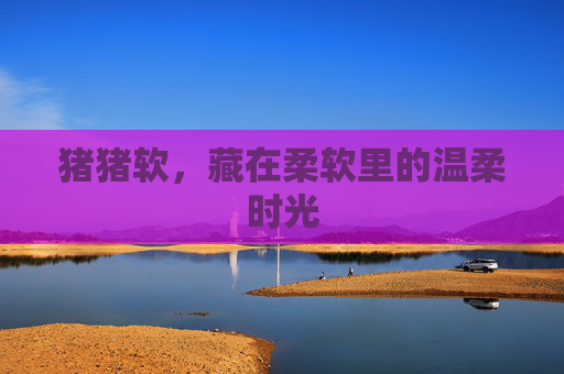 猪猪软,藏在柔软里的温柔时光 猪猪软,藏在柔软里的温柔时光