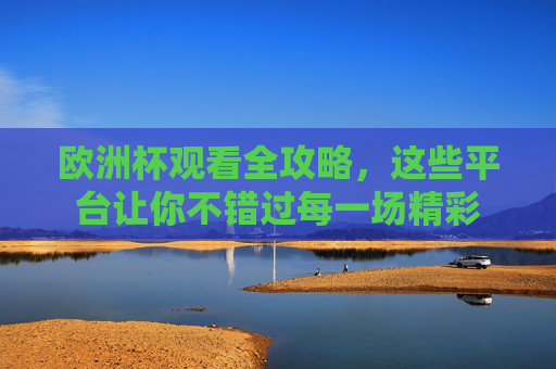 欧洲杯观看全攻略，这些平台让你不错过每一场精彩
