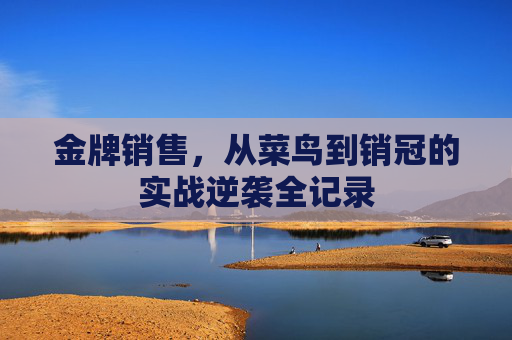 金牌销售,从菜鸟到销冠的实战逆袭全记录 金牌销售,从菜鸟到销冠的实战逆袭全记录