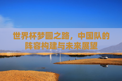 世界杯梦圆之路,中国队的阵容构建与未来展望 世界杯梦圆之路,中国队的阵容构建与未来展望