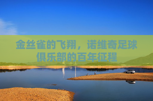 金丝雀的飞翔,诺维奇足球俱乐部的百年征程 金丝雀的飞翔,诺维奇足球俱乐部的百年征程