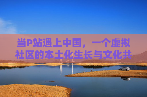当P站遇上中国,一个虚拟社区的本土化生长与文化共振 当P站遇上中国,一个虚拟社区的本土化生长与文化共振
