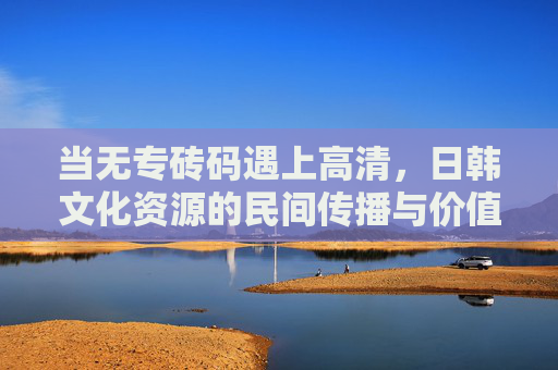 当无专砖码遇上高清，日韩文化资源的民间传播与价值重构