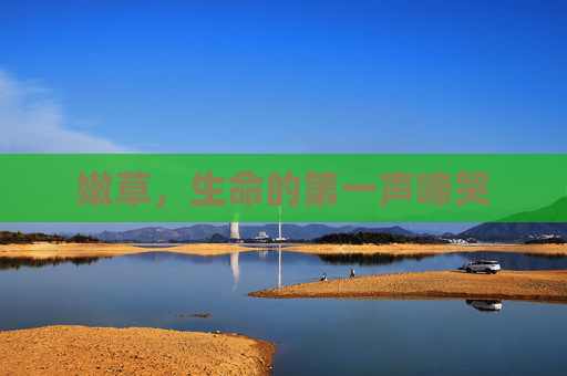 嫩草,生命的第一声啼哭 嫩草,生命的第一声啼哭
